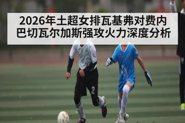 2026年土超女排瓦基弗对费内巴切瓦尔加斯强攻火力深度分析